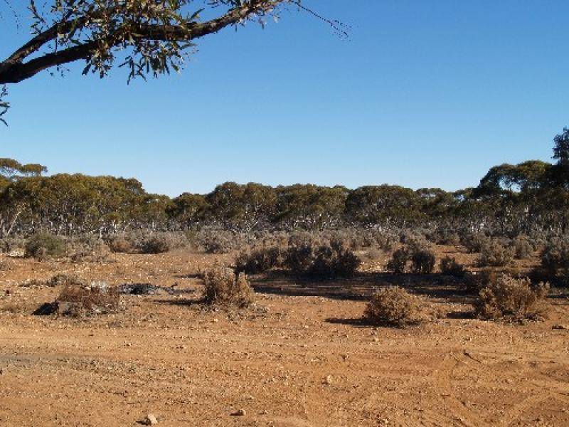 254 (SEC) HUNDRED OF EBA, Morgan SA 5320