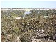 13 NORTH TERRACE, Blanchetown SA 5357