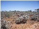 SECTION 331 HD OF EBA, Morgan SA 5320