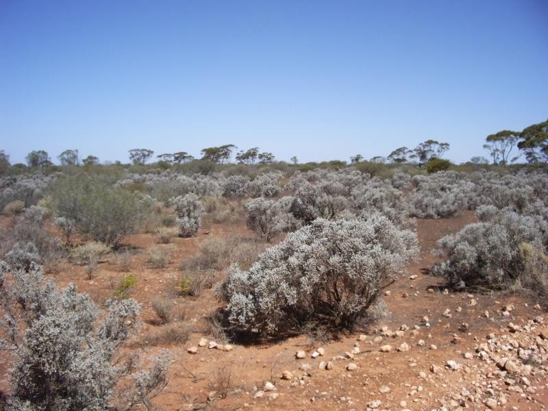 SECTION 331 HD OF EBA, Morgan SA 5320