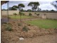 18 North West Terrace, Morgan SA 5320
