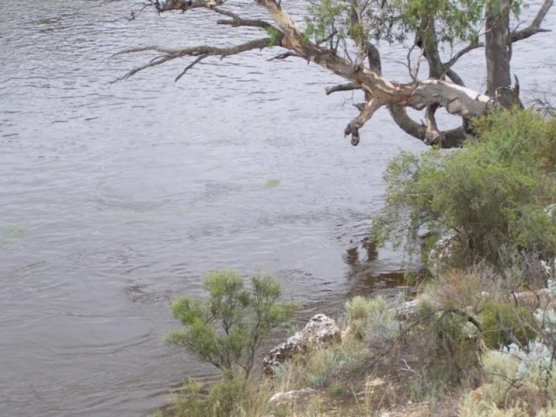 Lot 12 Murbko Road, Morgan SA 5320