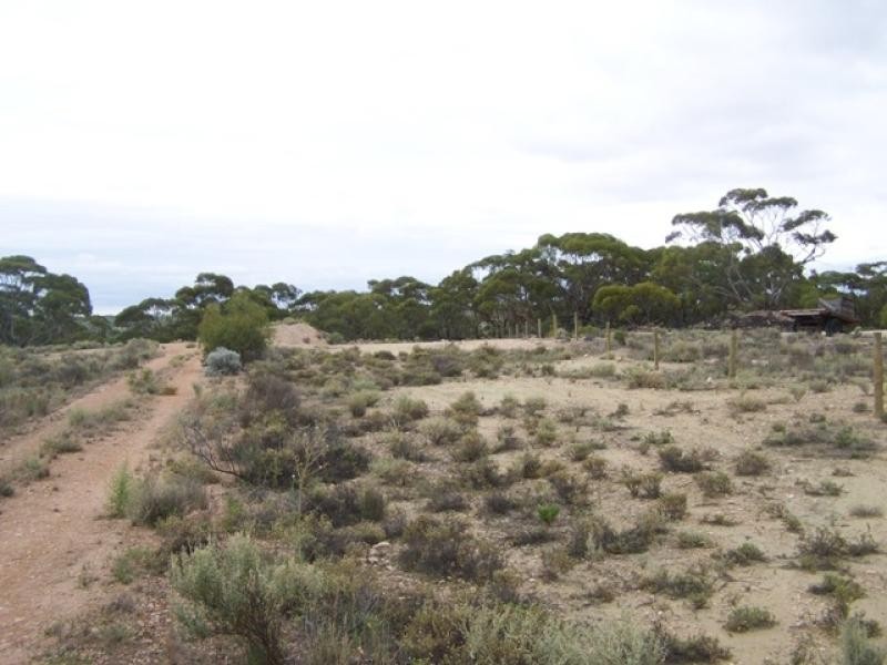 Lot 12 Murbko Road, Morgan SA 5320