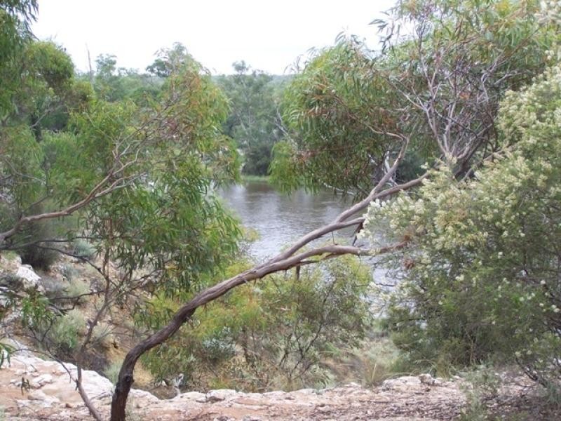 Lot 12 Murbko Road, Morgan SA 5320