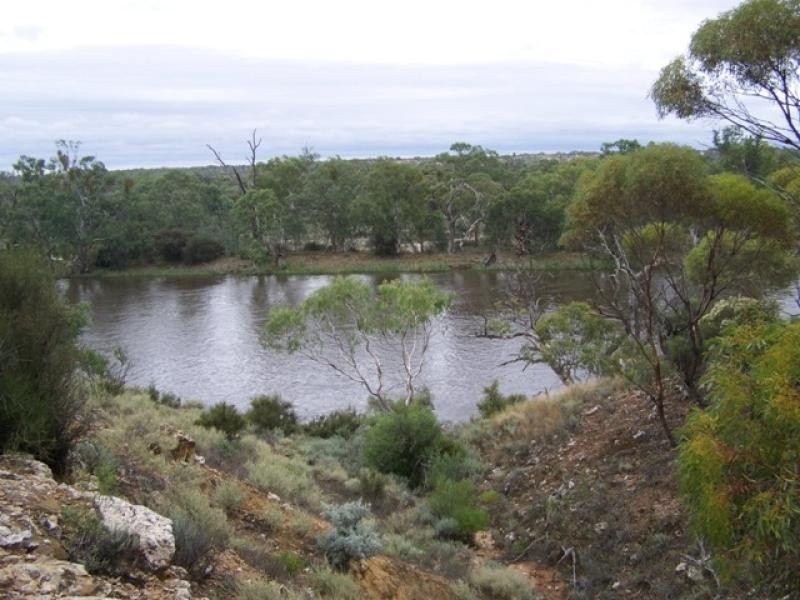 Lot 12 Murbko Road, Morgan SA 5320