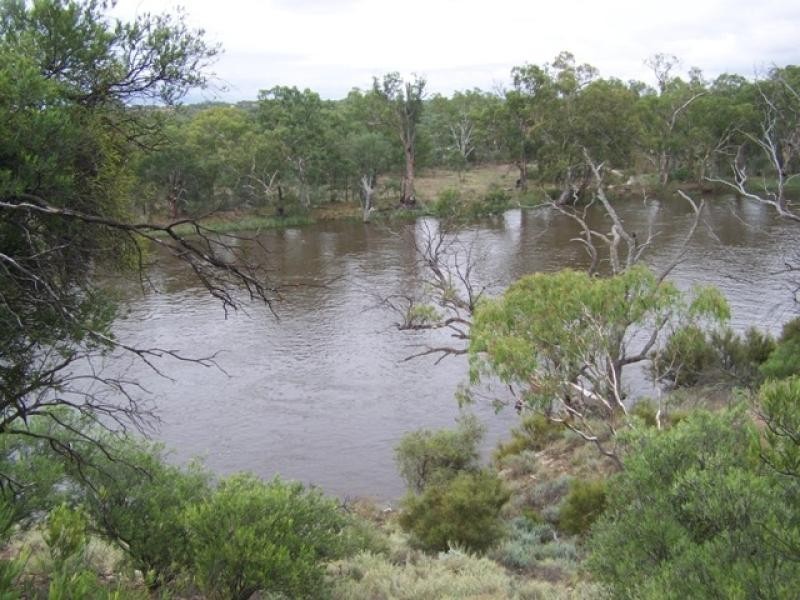 Lot 12 Murbko Road, Morgan SA 5320