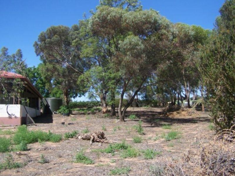 Section 242 Government Road, Taylorville SA 5330