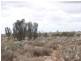 Section 54, Yandiah Road, Morgan SA 5320