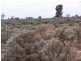 Section 54, Yandiah Road, Morgan SA 5320
