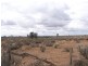 Section 54, Yandiah Road, Morgan SA 5320
