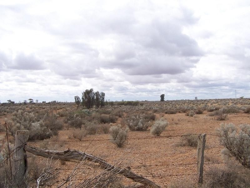 Section 54, Yandiah Road, Morgan SA 5320