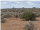 Section 54, Yandiah Road, Morgan SA 5320