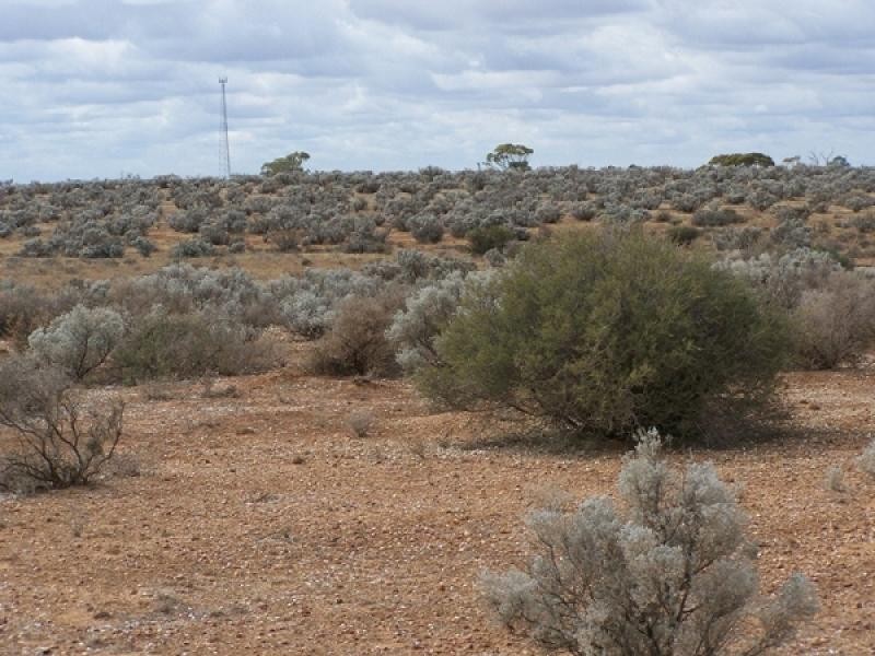 Section 54, Yandiah Road, Morgan SA 5320