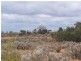 Section 54, Yandiah Road, Morgan SA 5320