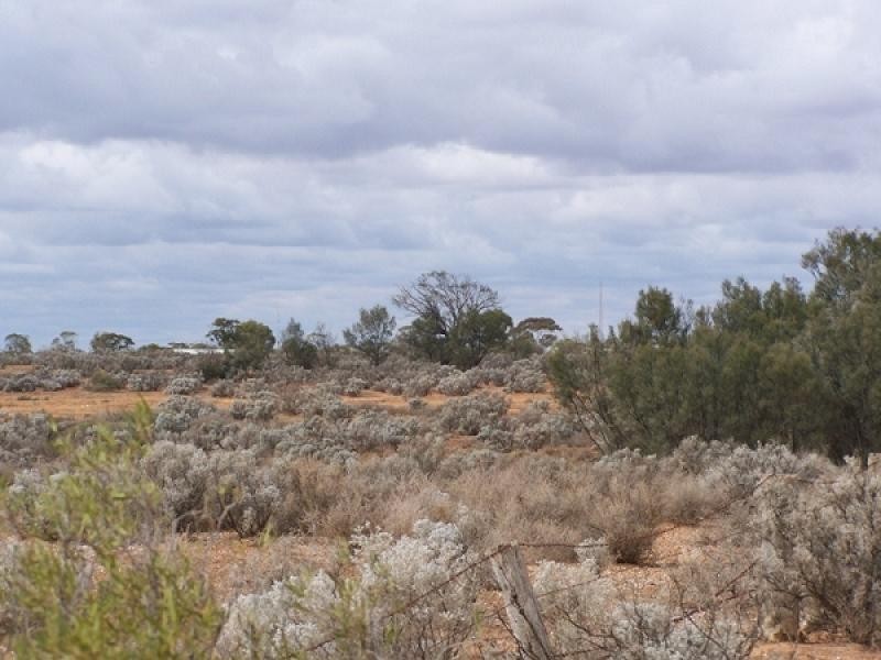 Section 54, Yandiah Road, Morgan SA 5320