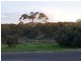 14 Third Street, Morgan SA 5320