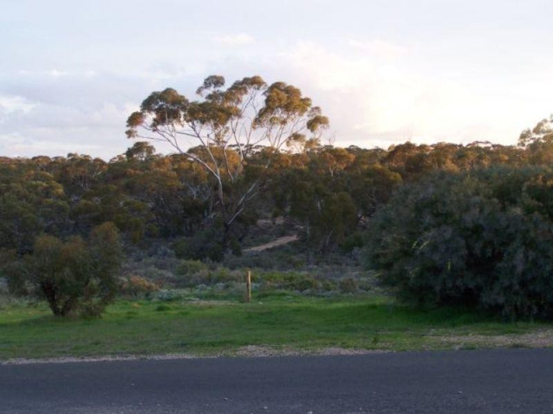 14 Third Street, Morgan SA 5320