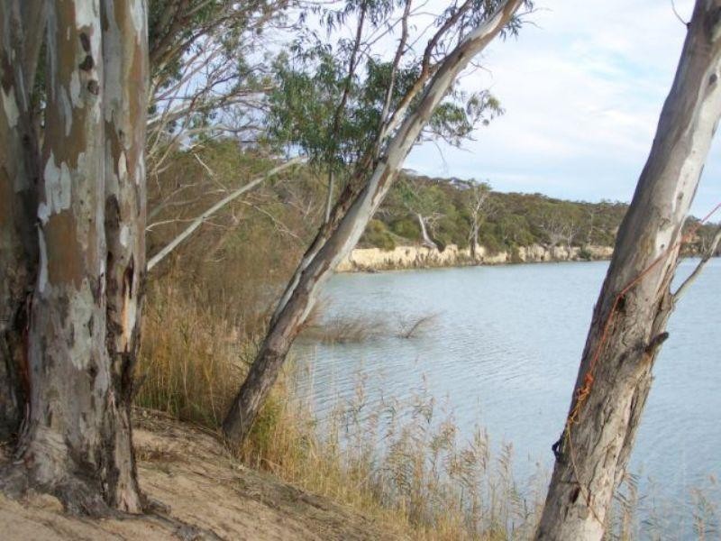 Lot 39 Old Murbko Road, Morgan SA 5320