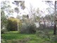 Lot 39 Old Murbko Road, Morgan SA 5320