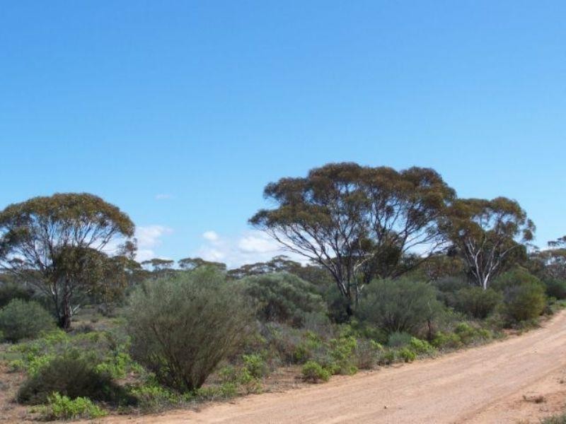 Lot 10 Winter Road, Bower SA 5374