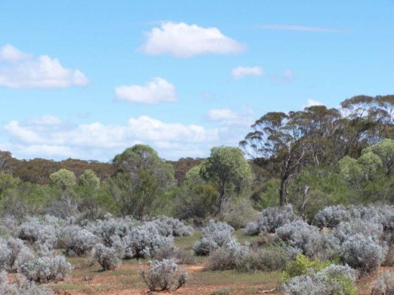 Lot 10 Winter Road, Bower SA 5374