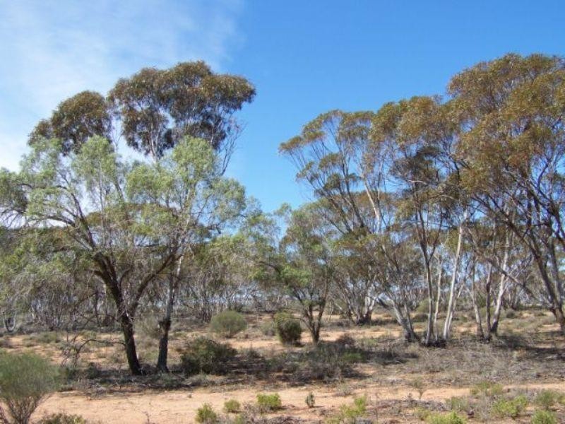 Lot 10 Winter Road, Bower SA 5374