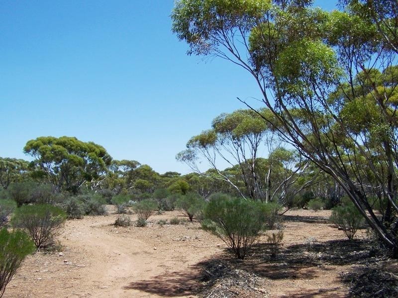 Section 188 Eudunda Road, Morgan SA 5320