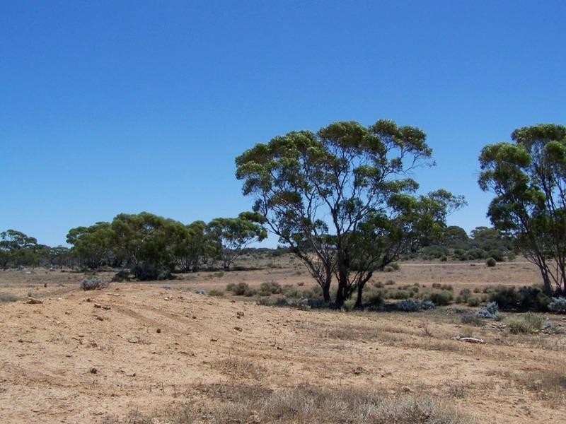 Section 188 Eudunda Road, Morgan SA 5320