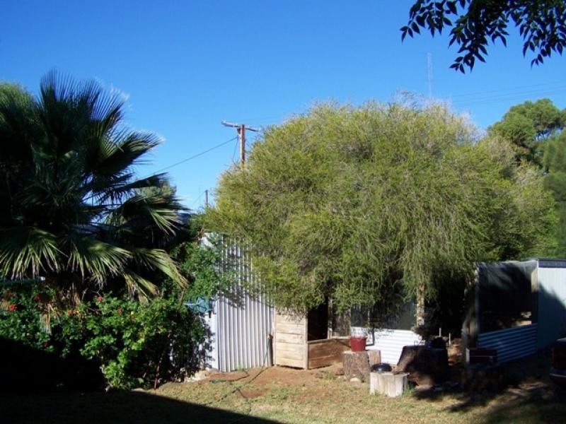 9 Ninth Street, Morgan SA 5320