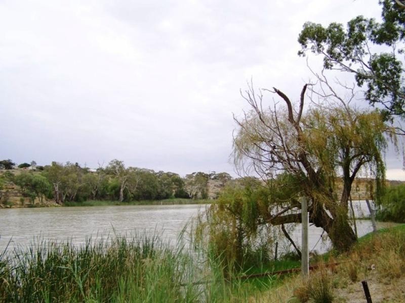 Lot 44 Government Road North West Bend, Morgan SA 5320