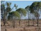 Lot 20 Sturt Highway, Blanchetown SA 5357