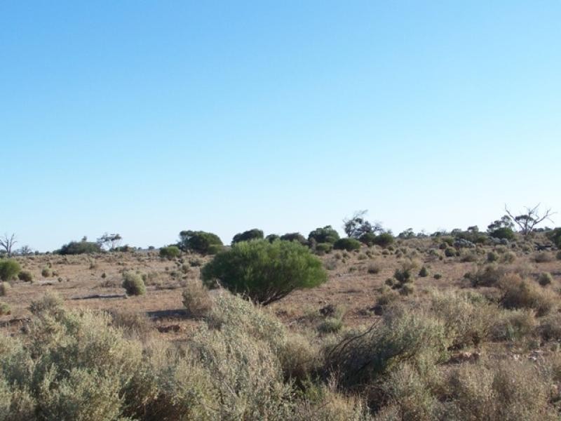 Lot 20 Sturt Highway, Blanchetown SA 5357