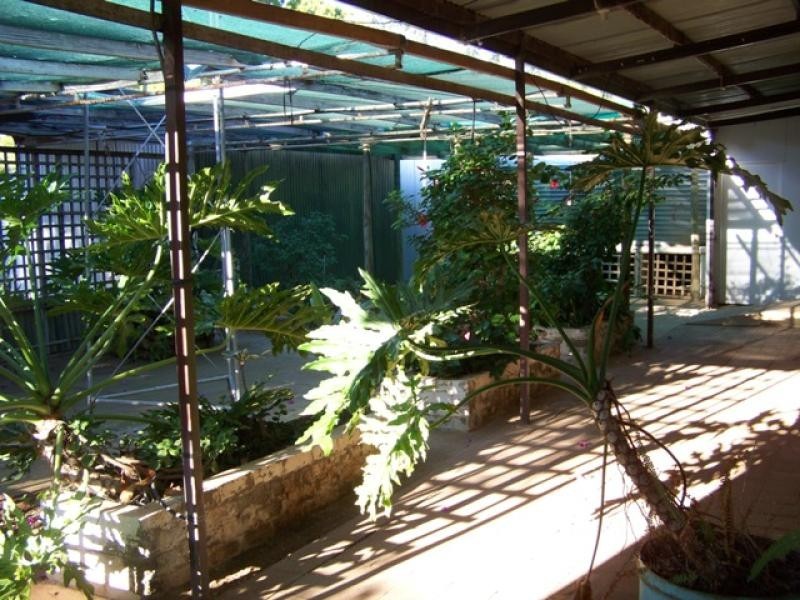 5 Gouge Street, Morgan SA 5320