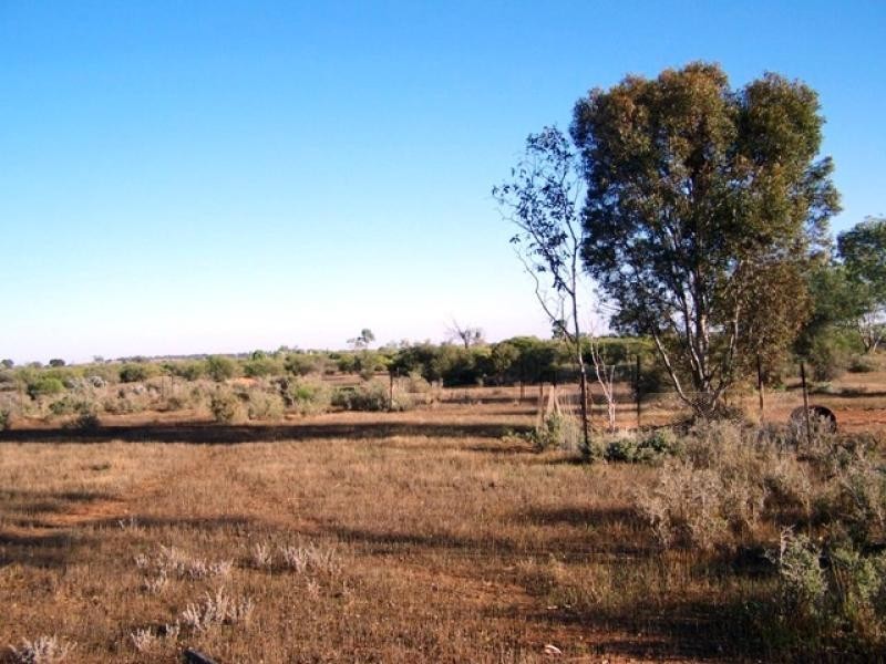 18 Lovers Lane, Morgan SA 5320