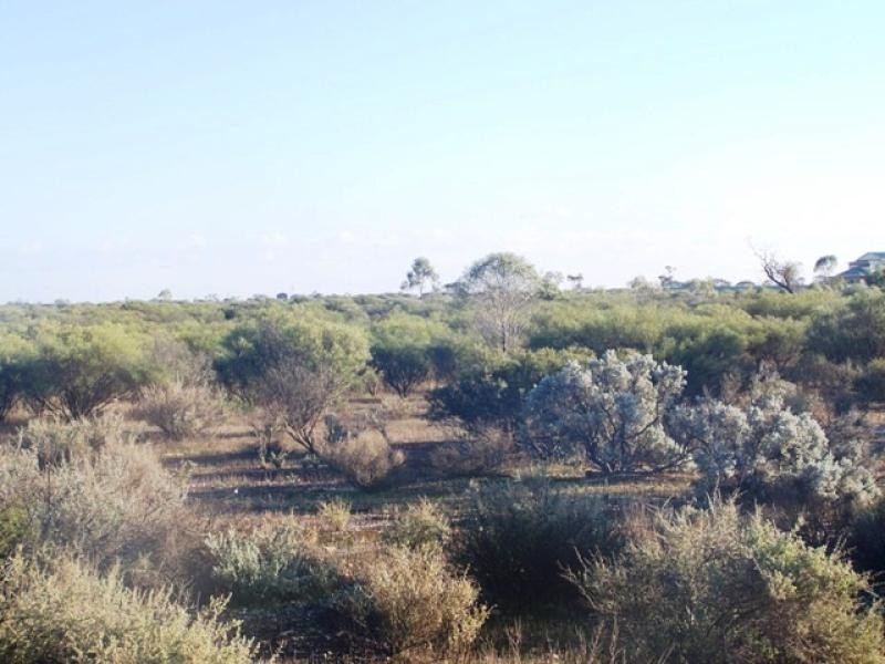 18 Lovers Lane, Morgan SA 5320