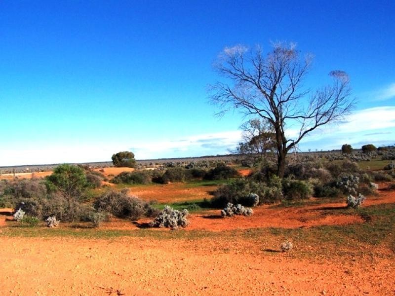 Section 268 Stock Route Road, Morgan SA 5320