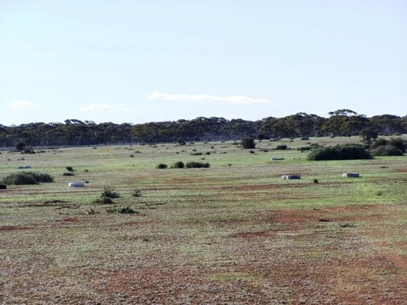 Section 268 Stock Route Road, Morgan SA 5320