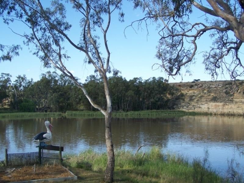 site 13 Government Road, Pelican Point via, Morgan SA 5320