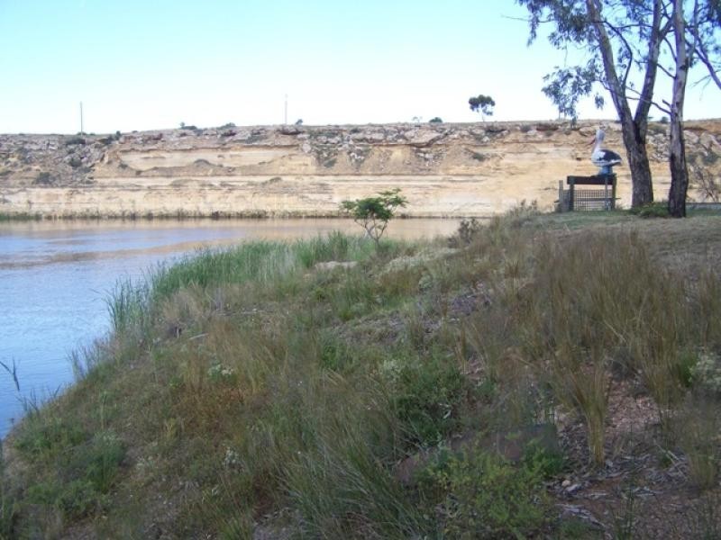 site 13 Government Road, Pelican Point via, Morgan SA 5320