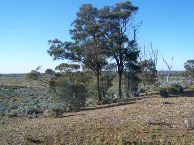 Section 114 Government Road, Morgan SA 5320