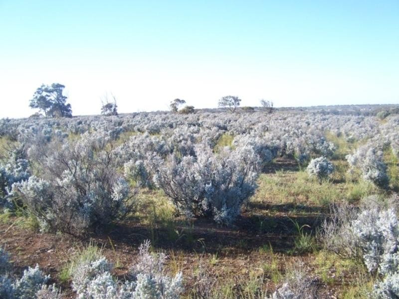 Section 114 Government Road, Morgan SA 5320