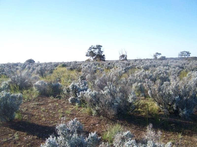 Section 114 Government Road, Morgan SA 5320