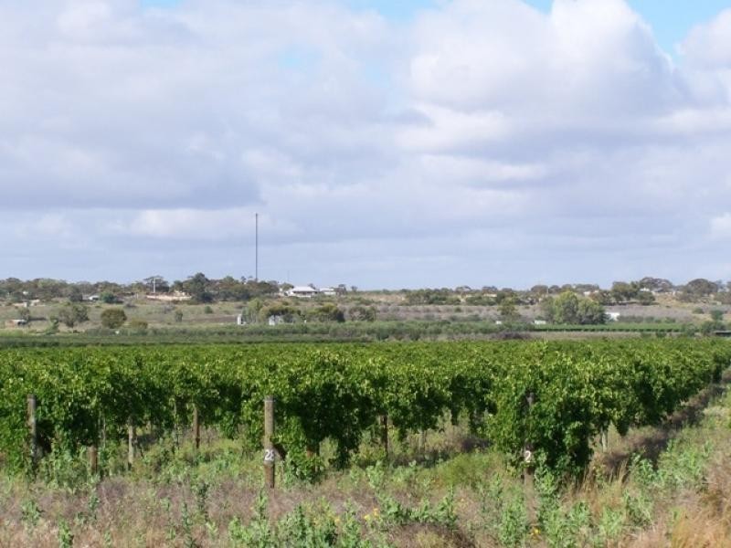 Lot 10 Cadell Road, Cadell SA 5321