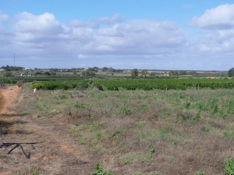Lot 10 Cadell Road, Cadell SA 5321