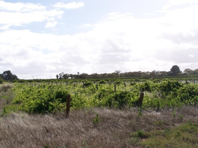 Lot 10 Cadell Road, Cadell SA 5321
