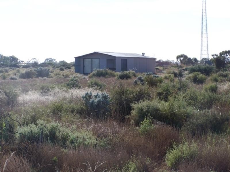 329 Lovers Lane, Morgan SA 5320