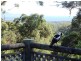 77 Smoky Ridge Drive, Arakoon NSW 2431
