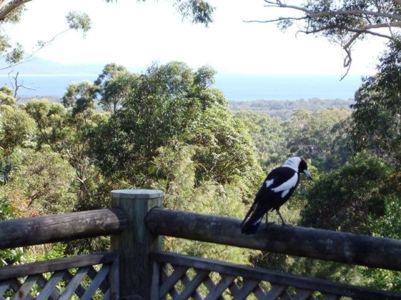 77 Smoky Ridge Drive, Arakoon NSW 2431