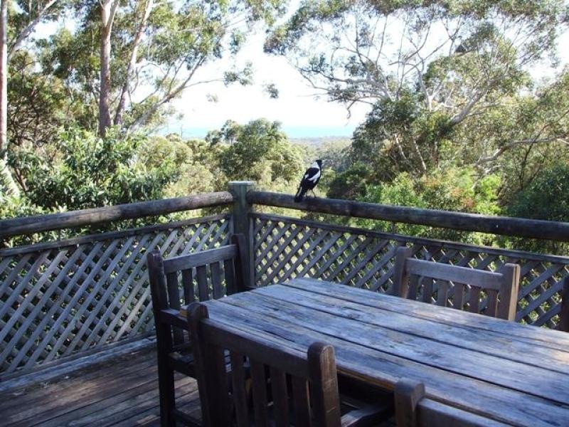 77 Smoky Ridge Drive, Arakoon NSW 2431