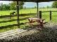 525 SUMMER ISLAND ROAD, Summer Island NSW 2440